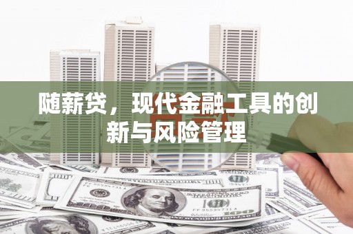 白沙随薪贷，现代金融工具的创新与风险管理